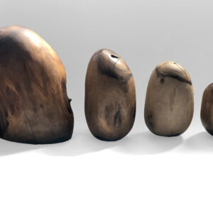 Wild Oval Collection Sculptures